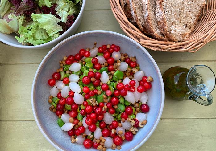 Een Sint Jan's salade