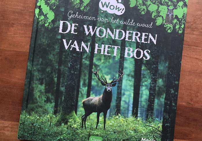 WOW! - De wonderen van het bos