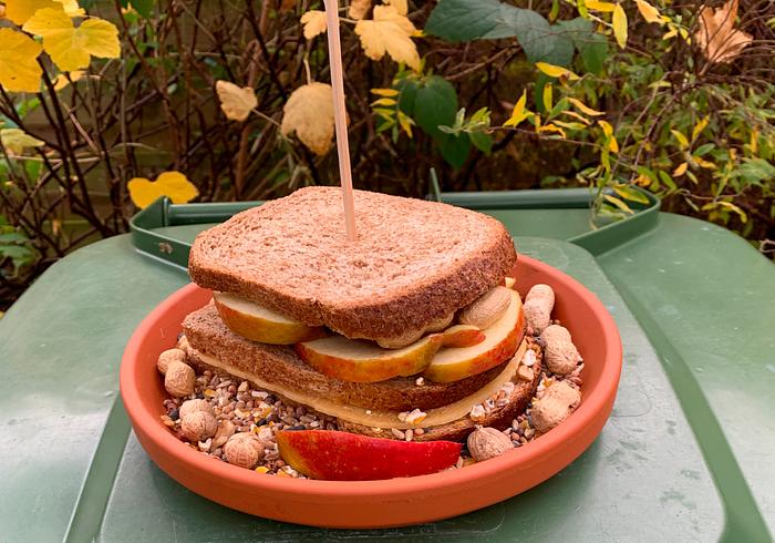 Maak een tosti voor de vogels 