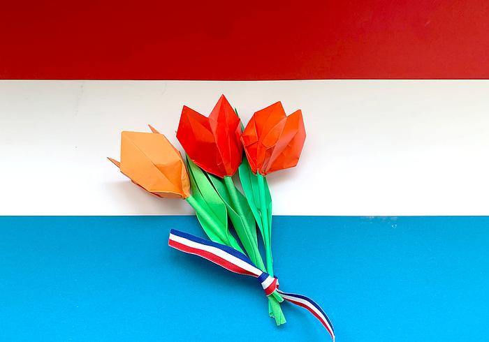 Origami tulpen