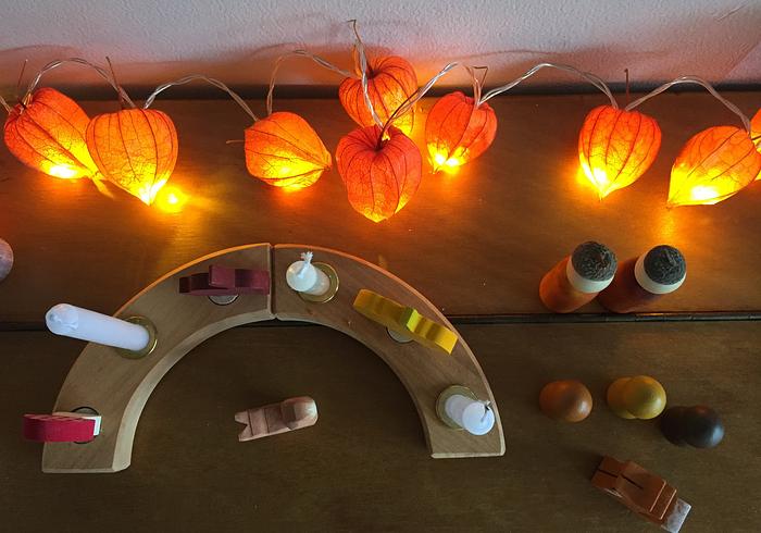 Physalislichtjes voor Thanksgiving