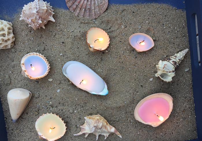 Schelpenlichtjes