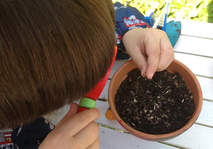 We  planten zaadjes
