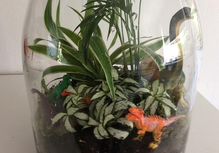 Een Dino-terrarium