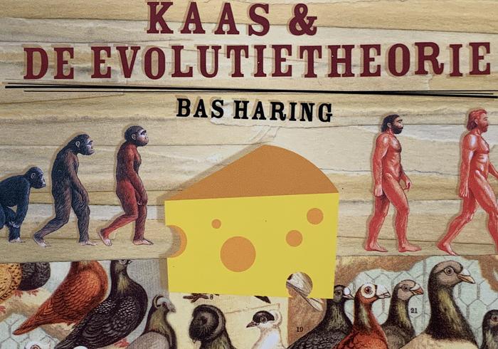 Kaas