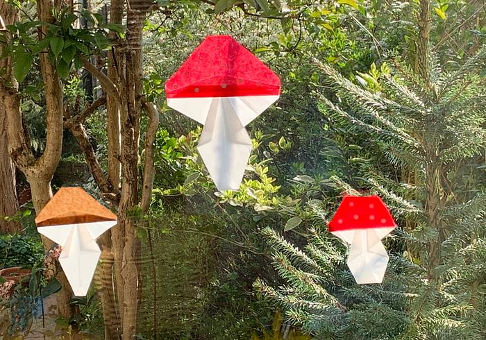 Paddenstoelen